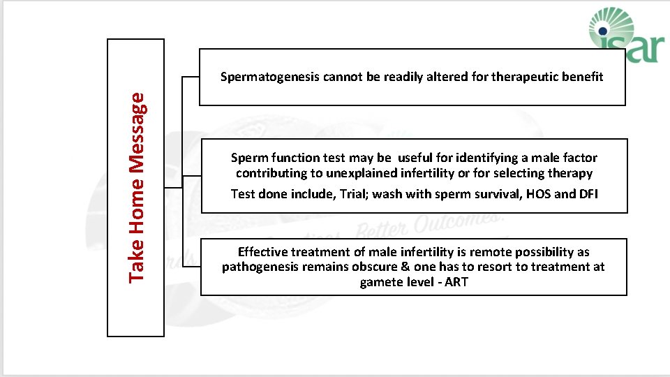 Take Home Message Spermatogenesis cannot be readily altered for therapeutic benefit Sperm function test