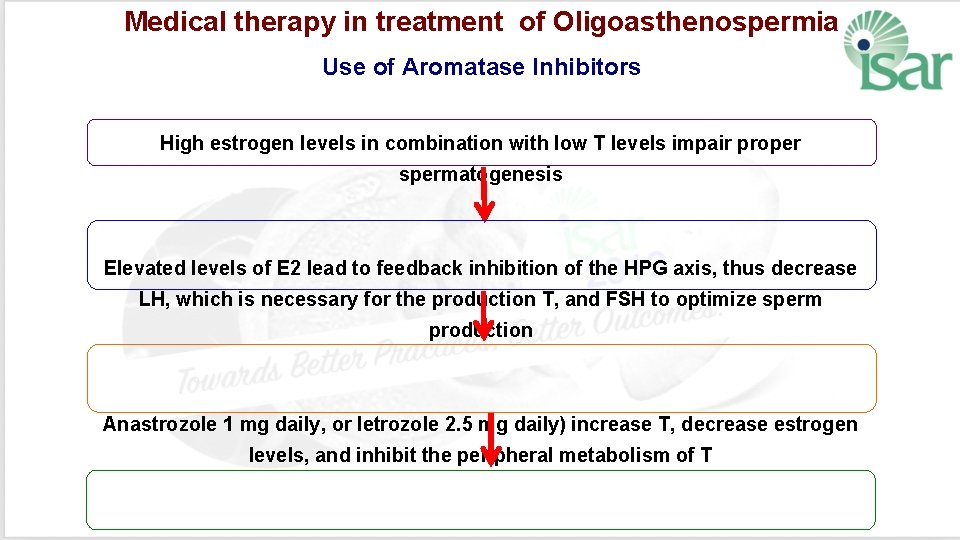 Medical therapy in treatment of Oligoasthenospermia Use of Aromatase Inhibitors High estrogen levels in