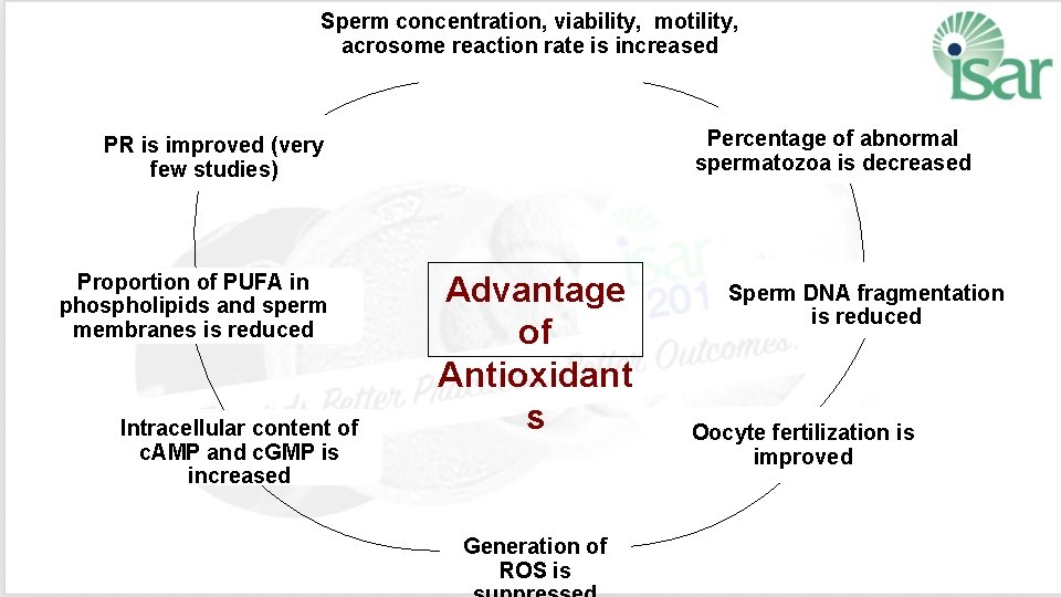 Sperm concentration, viability, motility, acrosome reaction rate is increased Percentage of abnormal spermatozoa is