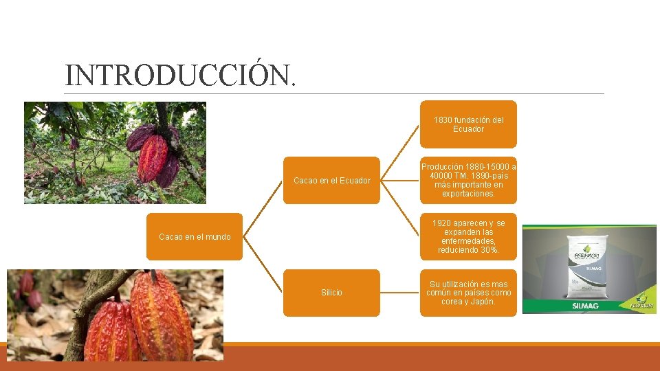 INTRODUCCIÓN. 1830 fundación del Ecuador Cacao en el Ecuador Producción 1880 -15000 a 40000