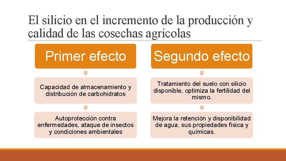 El silicio en el incremento de la producción y calidad de las cosechas agrícolas