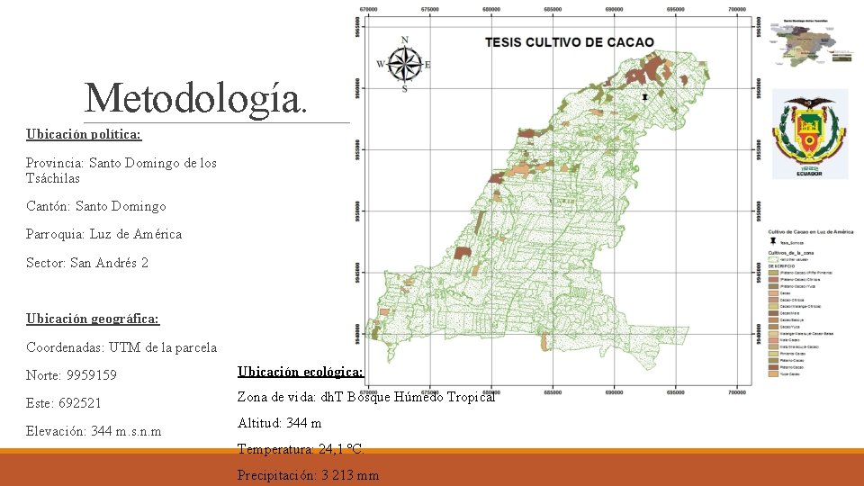 Metodología. Ubicación política: Provincia: Santo Domingo de los Tsáchilas Cantón: Santo Domingo Parroquia: Luz