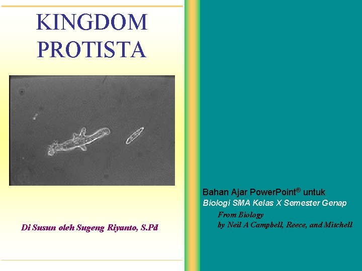 KINGDOM PROTISTA Bahan Ajar Power. Point® untuk Di Susun oleh Sugeng Riyanto, S. Pd