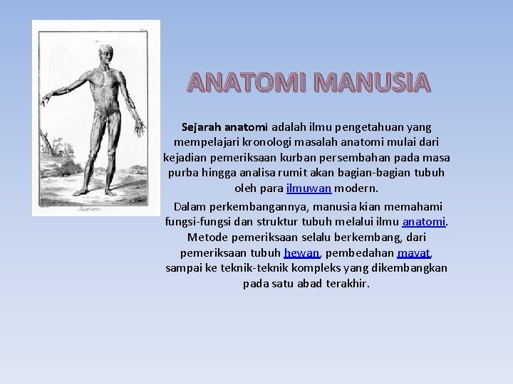ANATOMI MANUSIA Sejarah anatomi adalah ilmu pengetahuan yang mempelajari kronologi masalah anatomi mulai dari