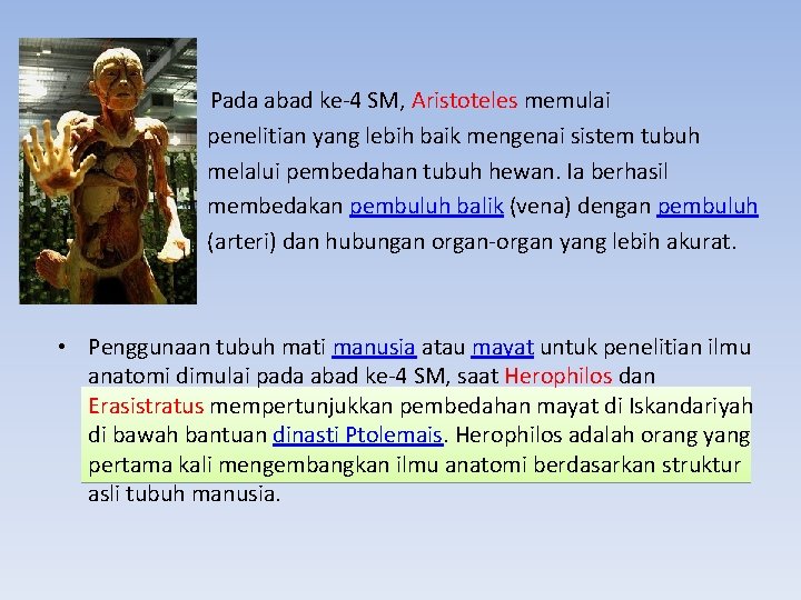  • Pada abad ke-4 SM, Aristoteles memulai penelitian yang lebih baik mengenai sistem