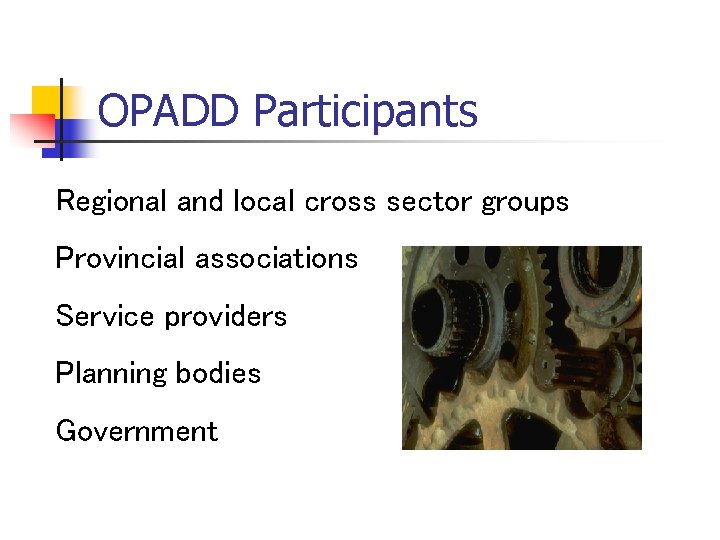 OPADD Participants Regional and local cross sector groups Provincial associations Service providers Planning bodies