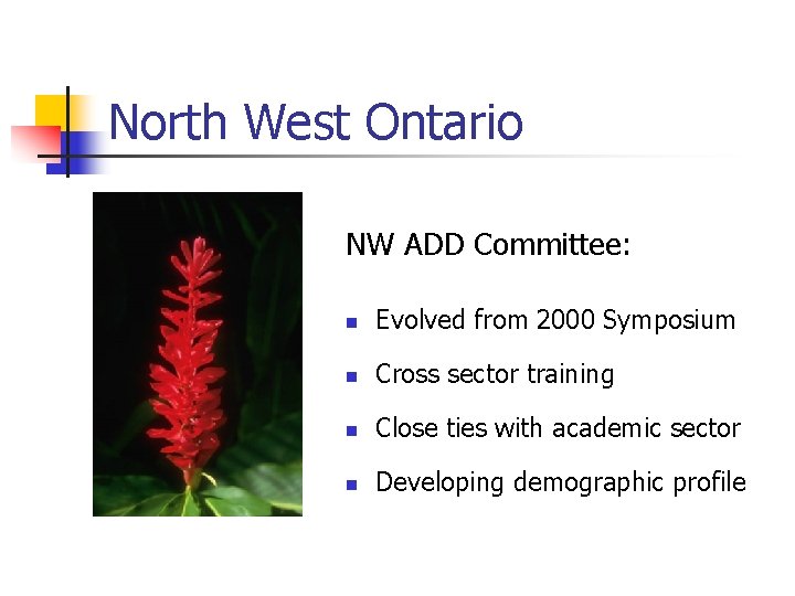 North West Ontario NW ADD Committee: n Evolved from 2000 Symposium n Cross sector