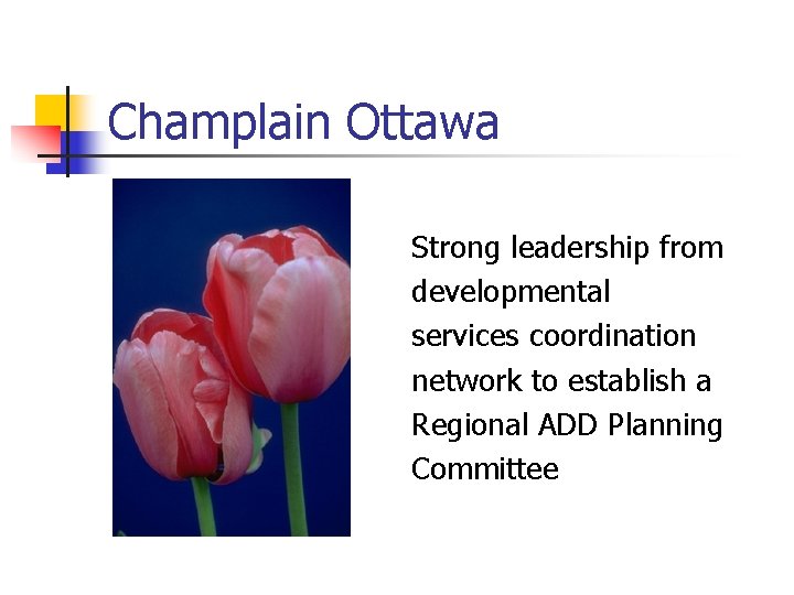 Champlain Ottawa Strong leadership from developmental services coordination network to establish a Regional ADD