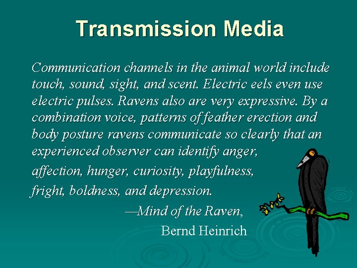 Transmission Media Communication channels in the animal world include touch, sound, sight, and scent.