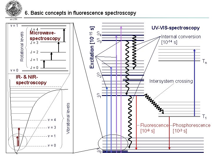 Rotational levels v = 1 v = 0 Excitation [10 -15 s] 6. Basic