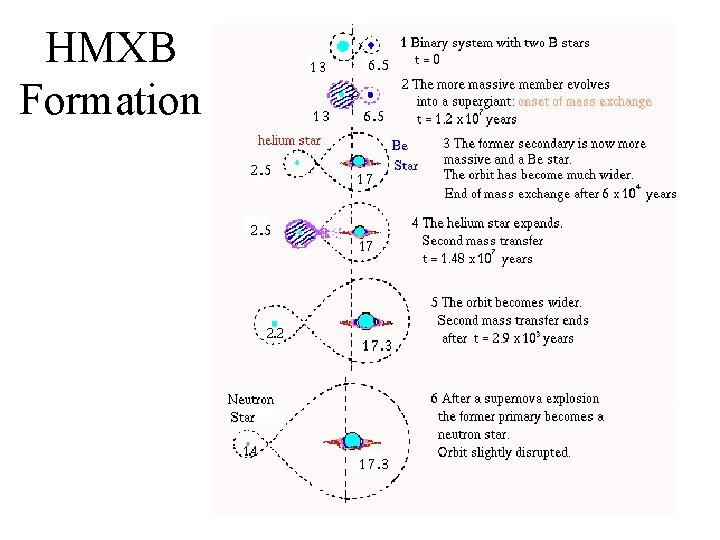 HMXB Formation 