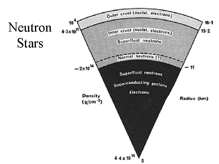 Neutron Stars 