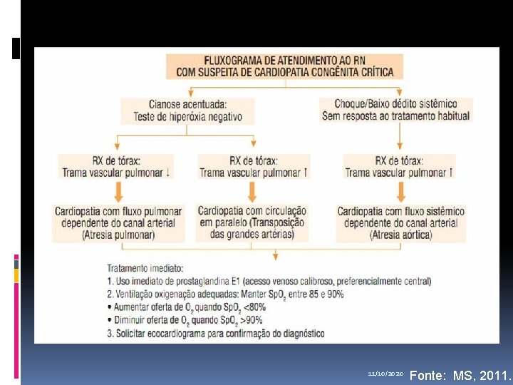 11/10/2020 Fonte: MS, 2011. 