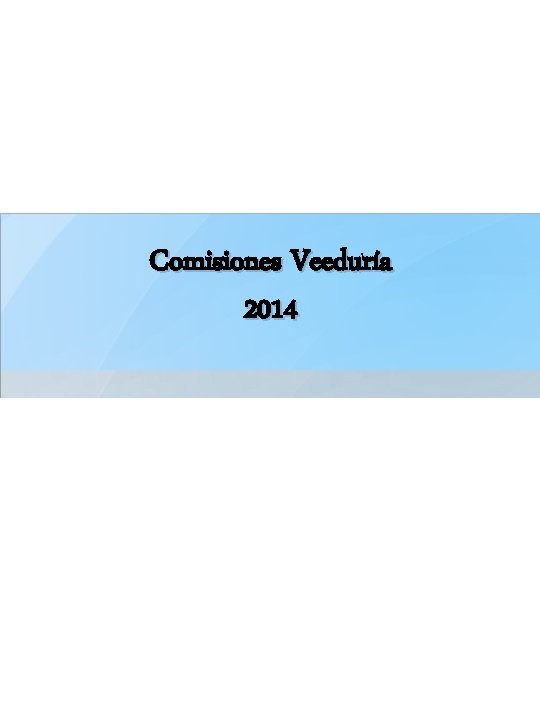 Comisiones Veeduría 2014 