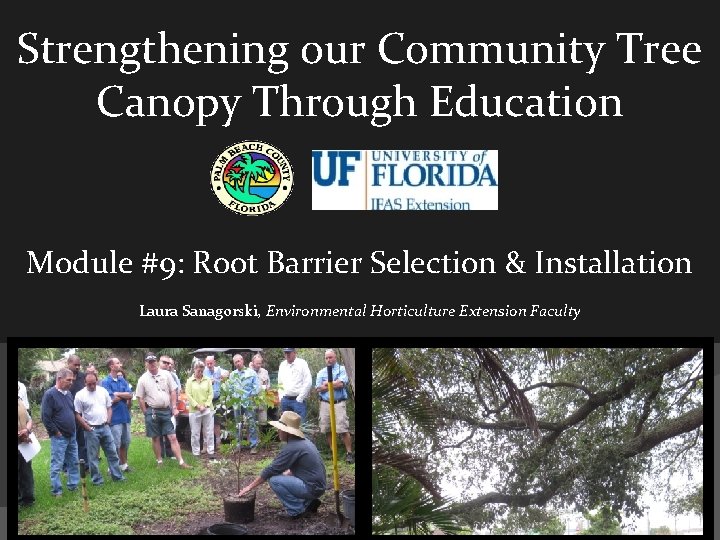 Strengthening our Community Tree Canopy Through Education Module #9: Root Barrier Selection & Installation
