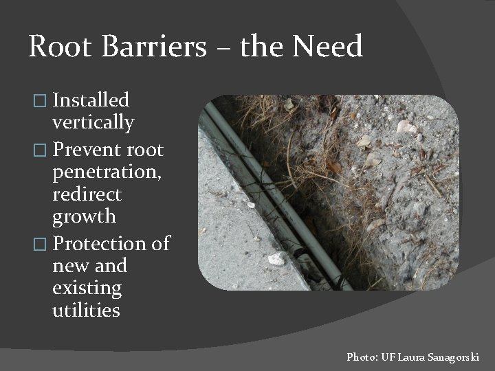 Root Barriers – the Need � Installed vertically � Prevent root penetration, redirect growth