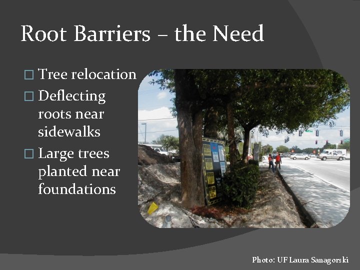 Root Barriers – the Need � Tree relocation � Deflecting roots near sidewalks �