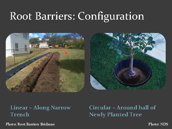Root Barriers: Configuration Linear – Along Narrow Trench Photo: Root Barriers Brisbane Circular –