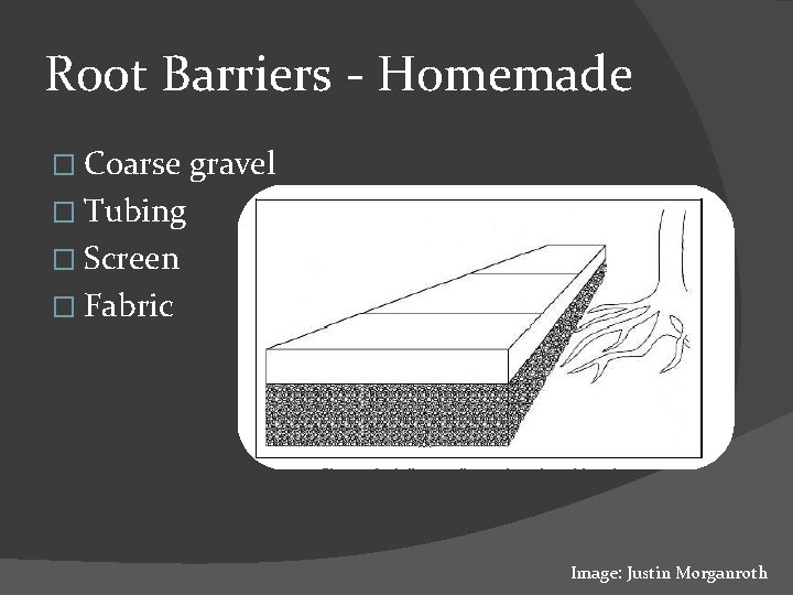 Root Barriers - Homemade � Coarse gravel � Tubing � Screen � Fabric Image: