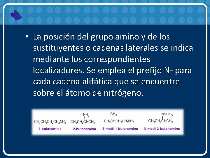  • La posición del grupo amino y de los sustituyentes o cadenas laterales