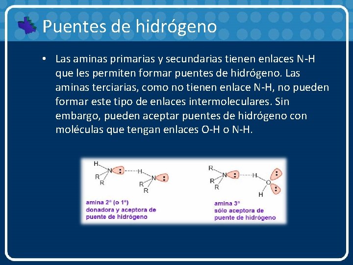 Puentes de hidrógeno • Las aminas primarias y secundarias tienen enlaces N-H que les