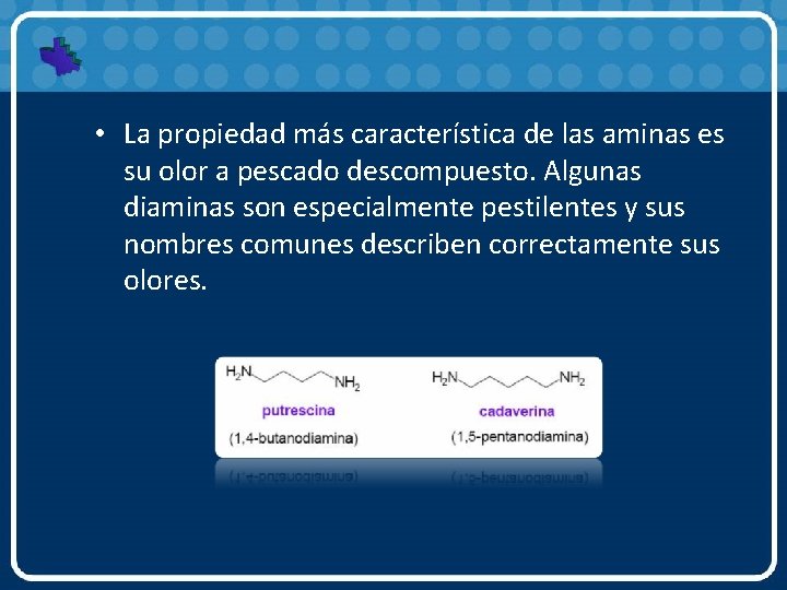  • La propiedad más característica de las aminas es su olor a pescado