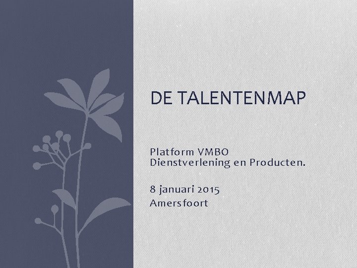 DE TALENTENMAP Platform VMBO Dienstverlening en Producten. 8 januari 2015 Amersfoort 