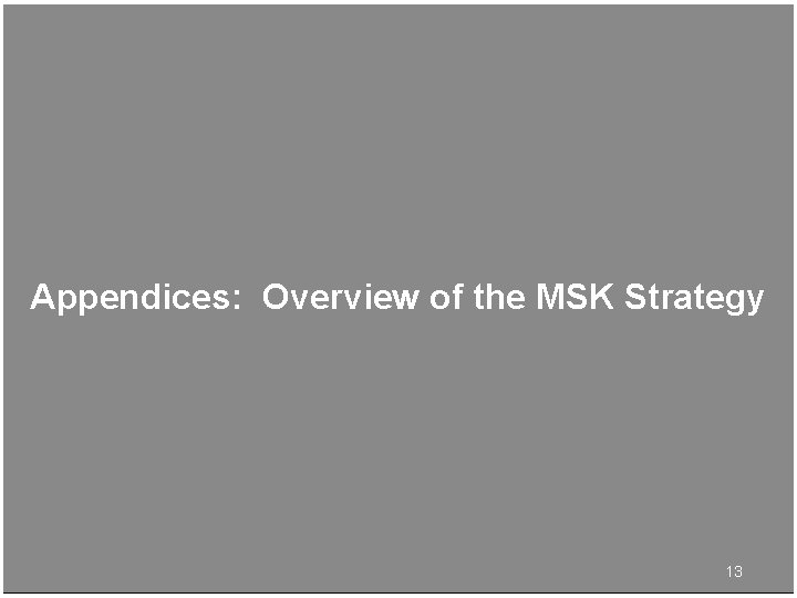 Appendices: Overview of the MSK Strategy 13 