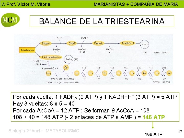 © Prof. Víctor M. Vitoria MARIANISTAS + COMPAÑÍA DE MARÍA BALANCE DE LA TRIESTEARINA