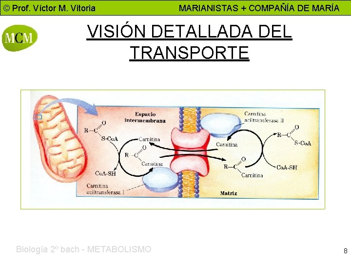 © Prof. Víctor M. Vitoria MARIANISTAS + COMPAÑÍA DE MARÍA VISIÓN DETALLADA DEL TRANSPORTE