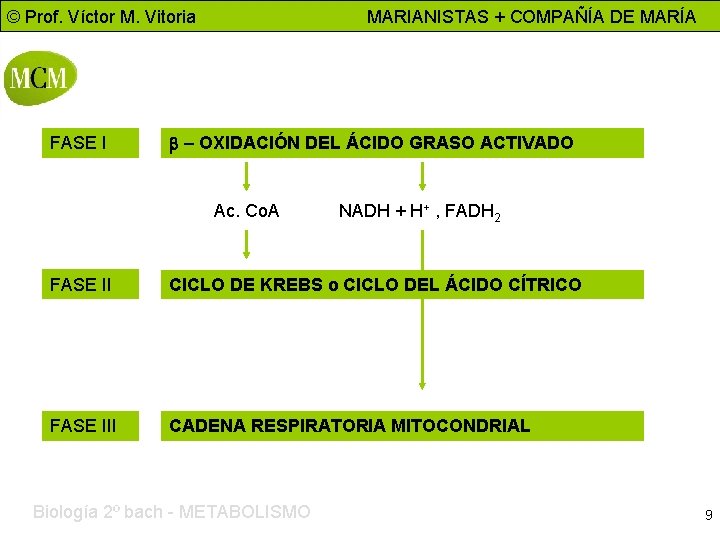 © Prof. Víctor M. Vitoria FASE I MARIANISTAS + COMPAÑÍA DE MARÍA b –