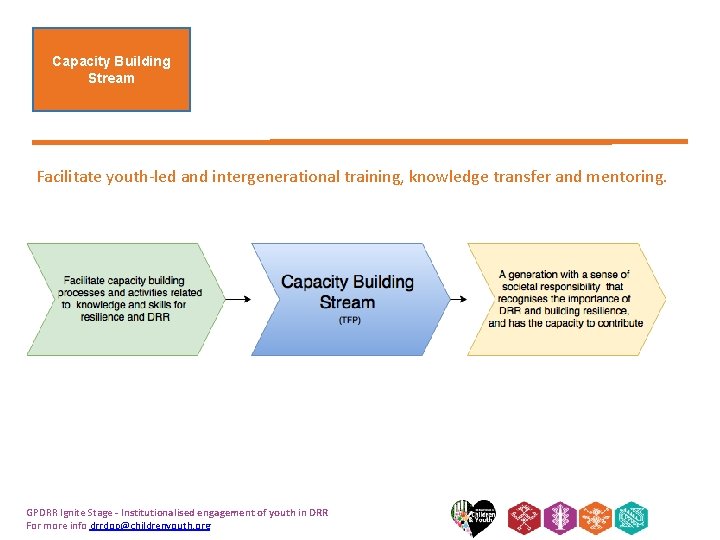 Capacity Building Stream Facilitate youth-led and intergenerational training, knowledge transfer and mentoring. GPDRR Ignite