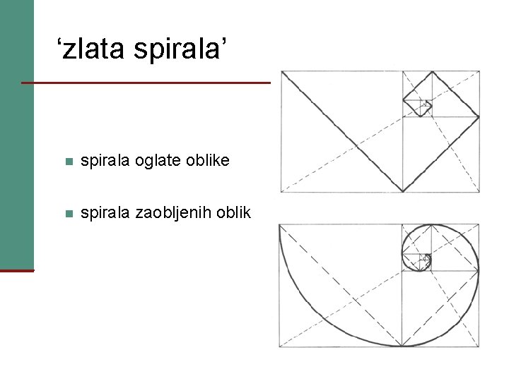 ‘zlata spirala’ spirala oglate oblike spirala zaobljenih oblik 