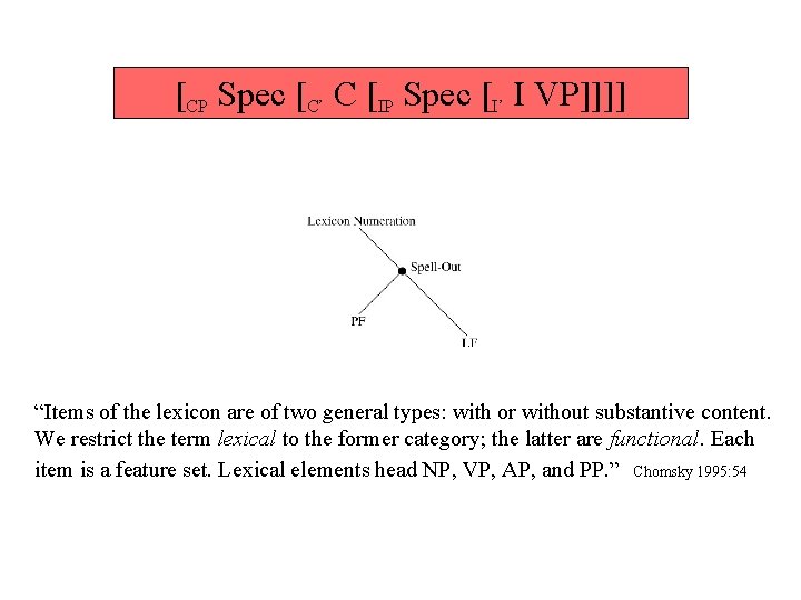 [CP Spec [C’ C [IP Spec [I’ I VP]]]] “Items of the lexicon are