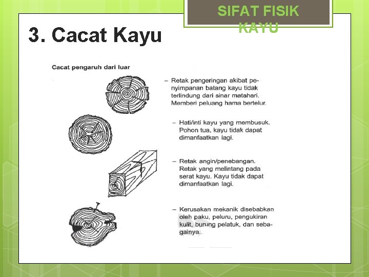 3. Cacat Kayu SIFAT FISIK KAYU 