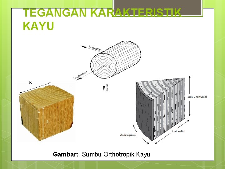 TEGANGAN KARAKTERISTIK KAYU Gambar: Sumbu Orthotropik Kayu 