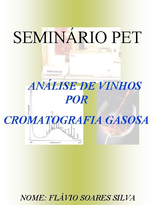 SEMINÁRIO PET ANÁLISE DE VINHOS POR CROMATOGRAFIA GASOSA NOME: FLÁVIO SOARES SILVA 