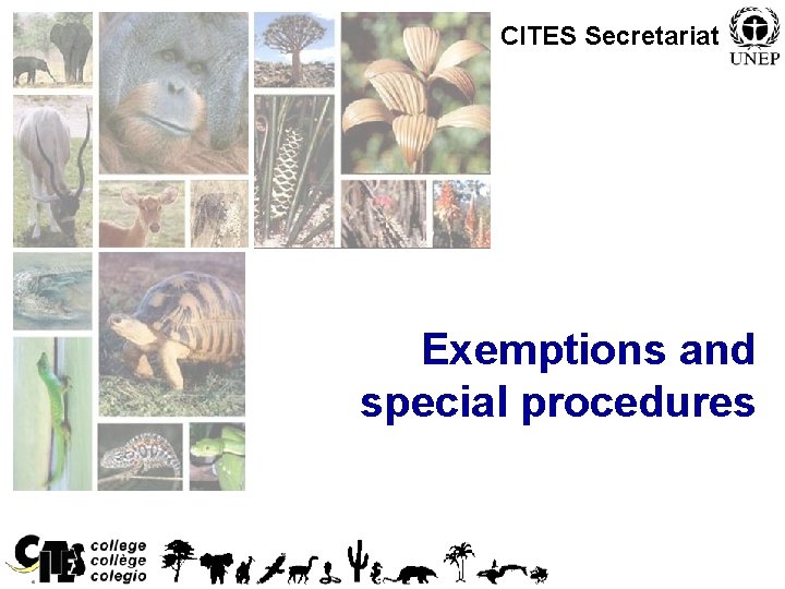 CITES Secretariat Exemptions and special procedures 1 