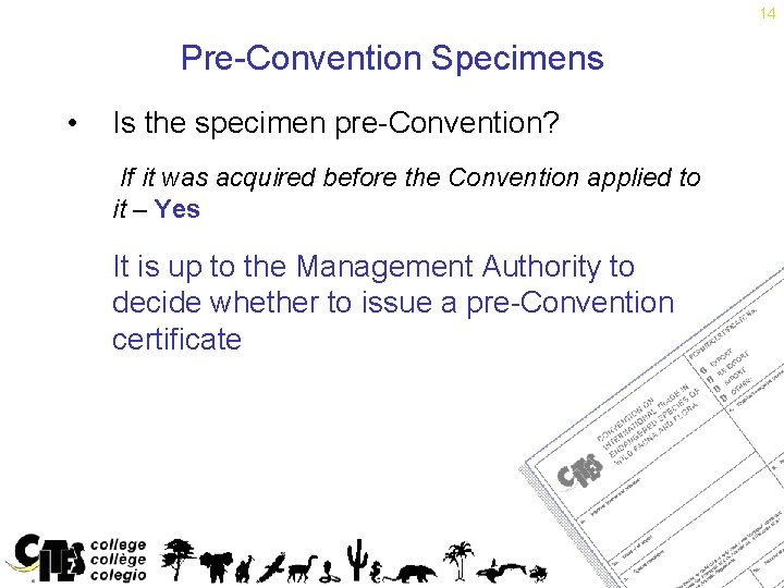 14 Pre-Convention Specimens • Is the specimen pre-Convention? If it was acquired before the