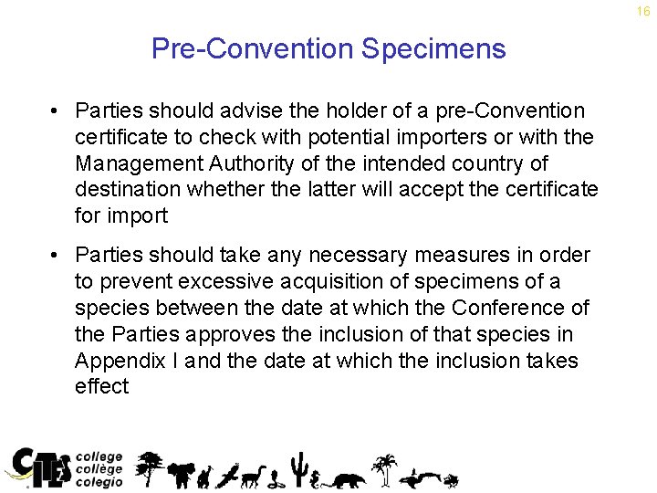 16 Pre-Convention Specimens • Parties should advise the holder of a pre-Convention certificate to