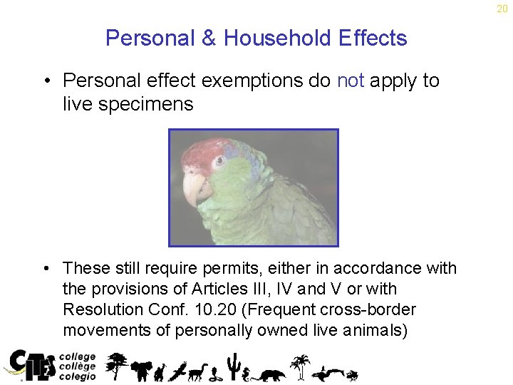 20 Personal & Household Effects • Personal effect exemptions do not apply to live