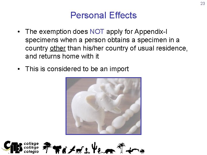 23 Personal Effects • The exemption does NOT apply for Appendix-I specimens when a