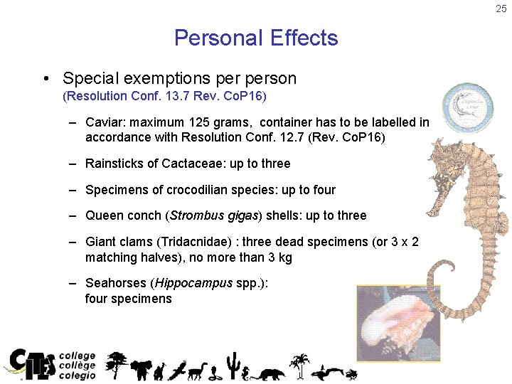 25 Personal Effects • Special exemptions person (Resolution Conf. 13. 7 Rev. Co. P