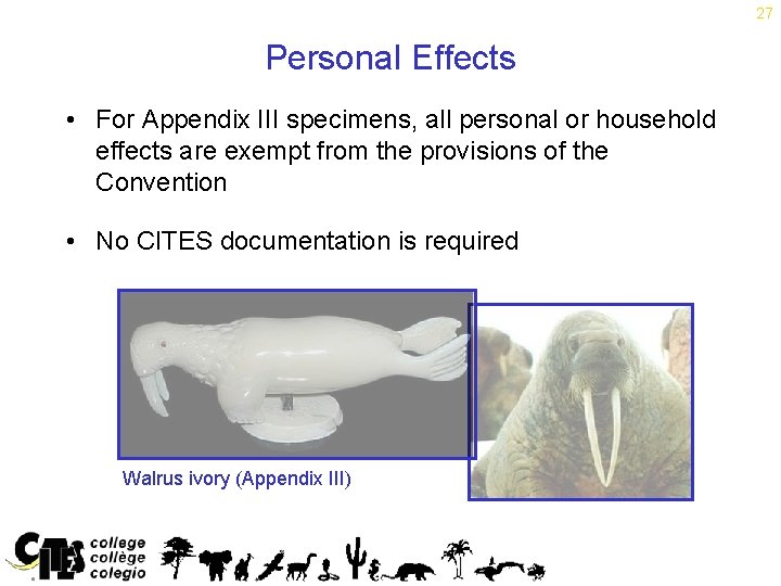 27 Personal Effects • For Appendix III specimens, all personal or household effects are