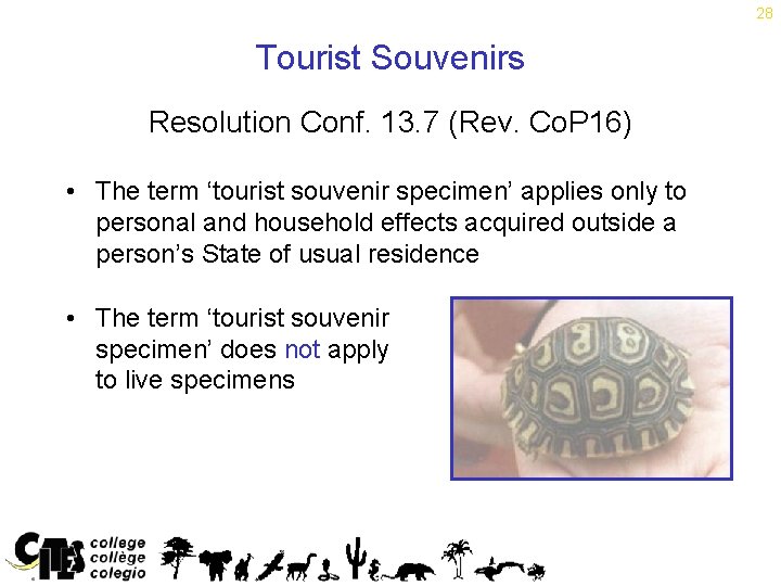 28 Tourist Souvenirs Resolution Conf. 13. 7 (Rev. Co. P 16) • The term