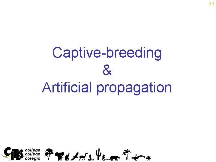 30 Captive-breeding & Artificial propagation Note: The definition of ‘artificially propagated’ is dealt with
