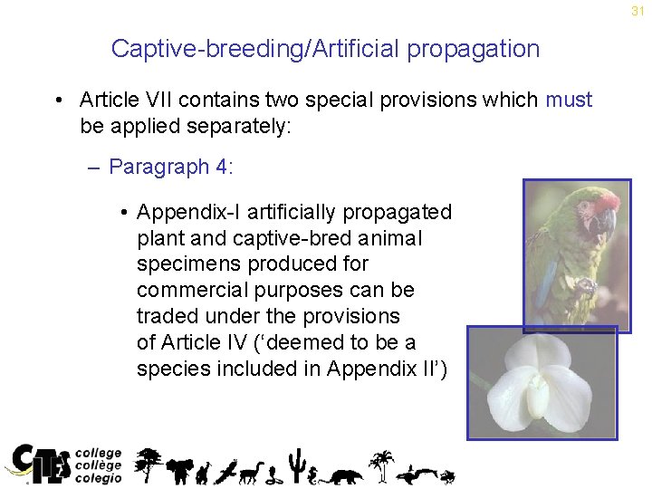 31 Captive-breeding/Artificial propagation • Article VII contains two special provisions which must be applied