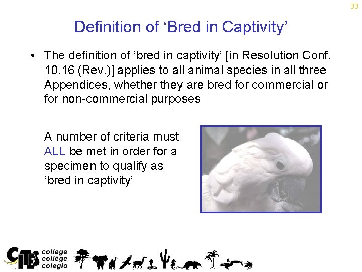 33 Definition of ‘Bred in Captivity’ • The definition of ‘bred in captivity’ [in