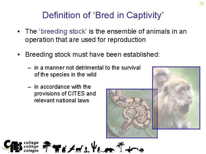 36 Definition of ‘Bred in Captivity’ • The ‘breeding stock’ is the ensemble of