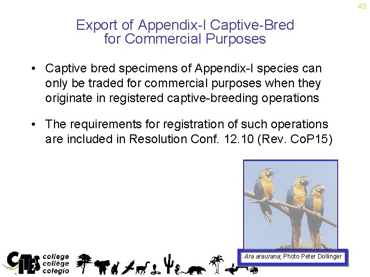 43 Export of Appendix-I Captive-Bred for Commercial Purposes • Captive bred specimens of Appendix-I